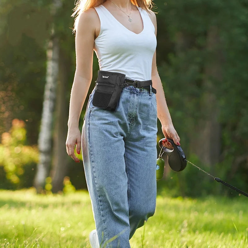 Portable Dog Treat Training Bag – Large Capacity