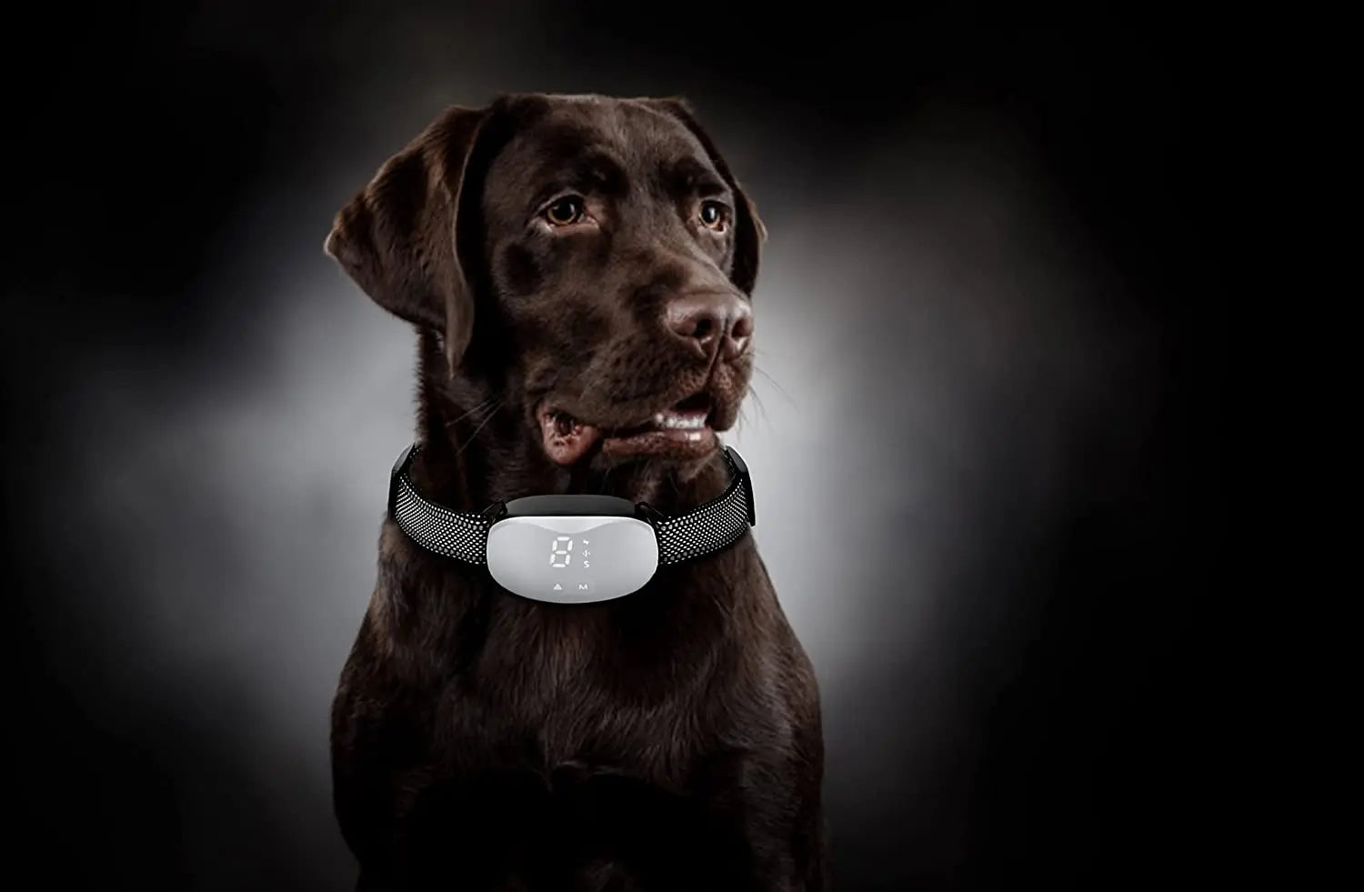 Anti-Bark Dog Training Collar – Electric, Vibration & Sound