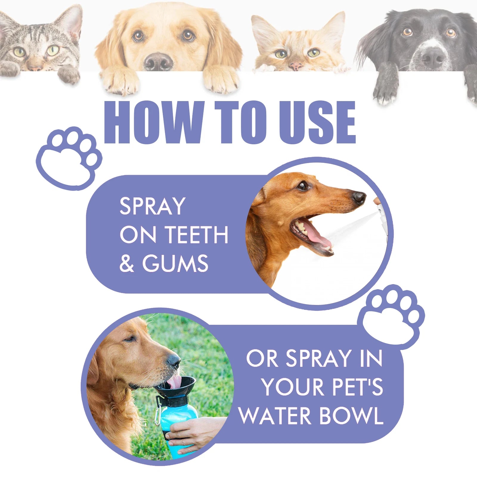 Pet Dental Spray – Dogs & Cats, 30ml