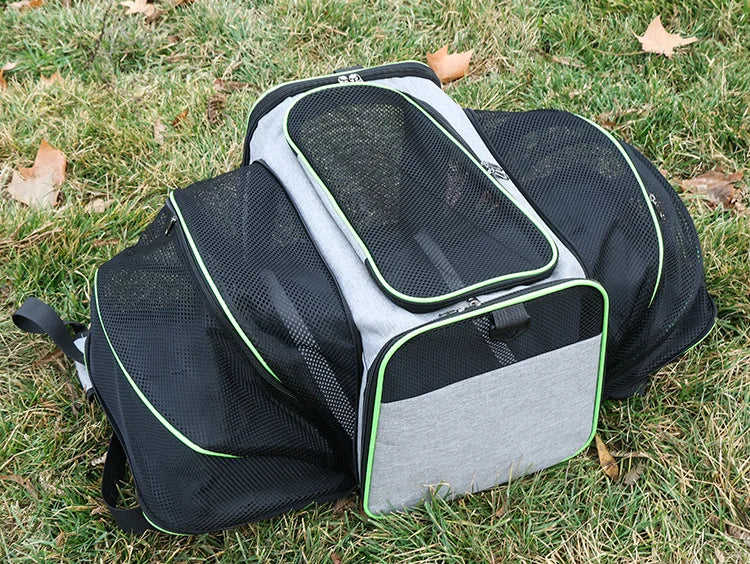 Foldable Pet Carrier Bag – Breathable Mesh Travel Bag