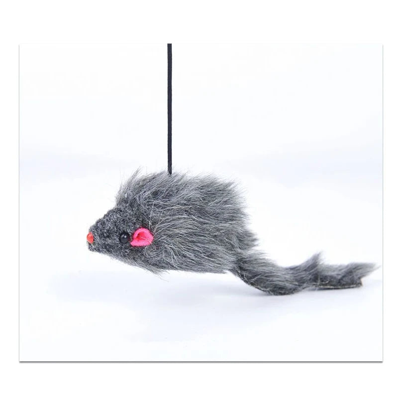 Hanging Door Mouse Cat Teaser Toy – Elastic Clip