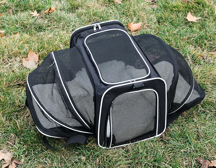 Foldable Pet Carrier Bag – Breathable Mesh Travel Bag