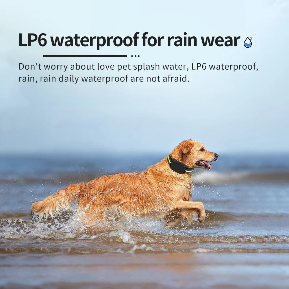 USB Rechargeable Anti-Barking Dog Training Collar