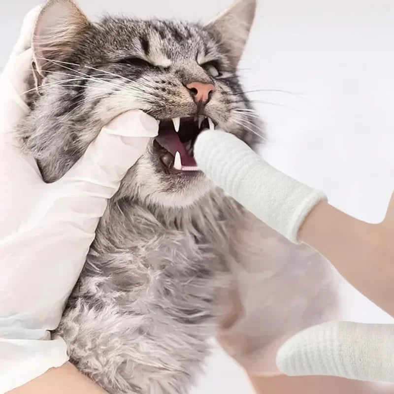 Pet Finger Toothbrush Cots – 2/12pcs