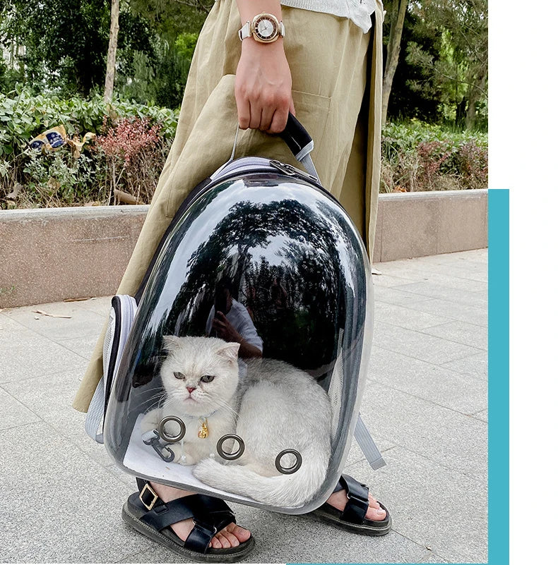 Transparent Space Capsule Pet Backpack – Portable Carrier