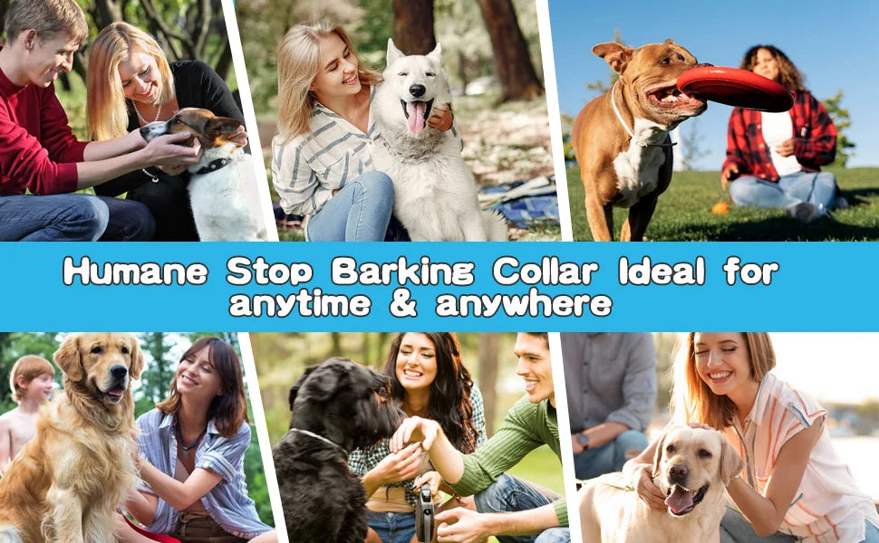 USB Rechargeable Anti-Bark Dog Collar – Ultrasonic & Vibration