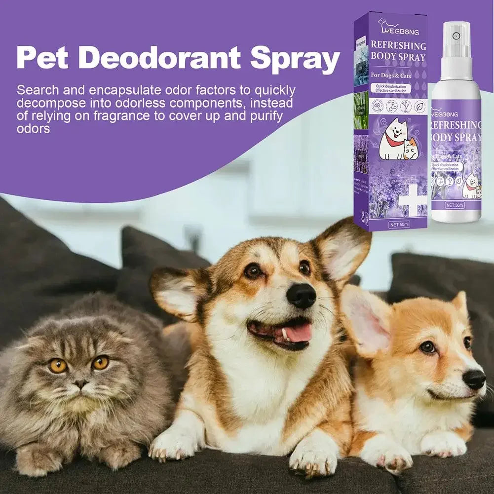 Lavender Dog & Cat Deodorizer Spray