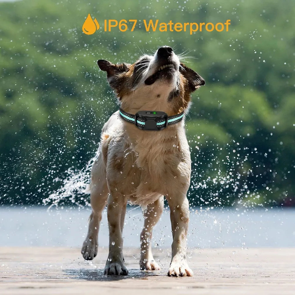 3300Ft No-Shock Dog Training Collar – Remote & Waterproof