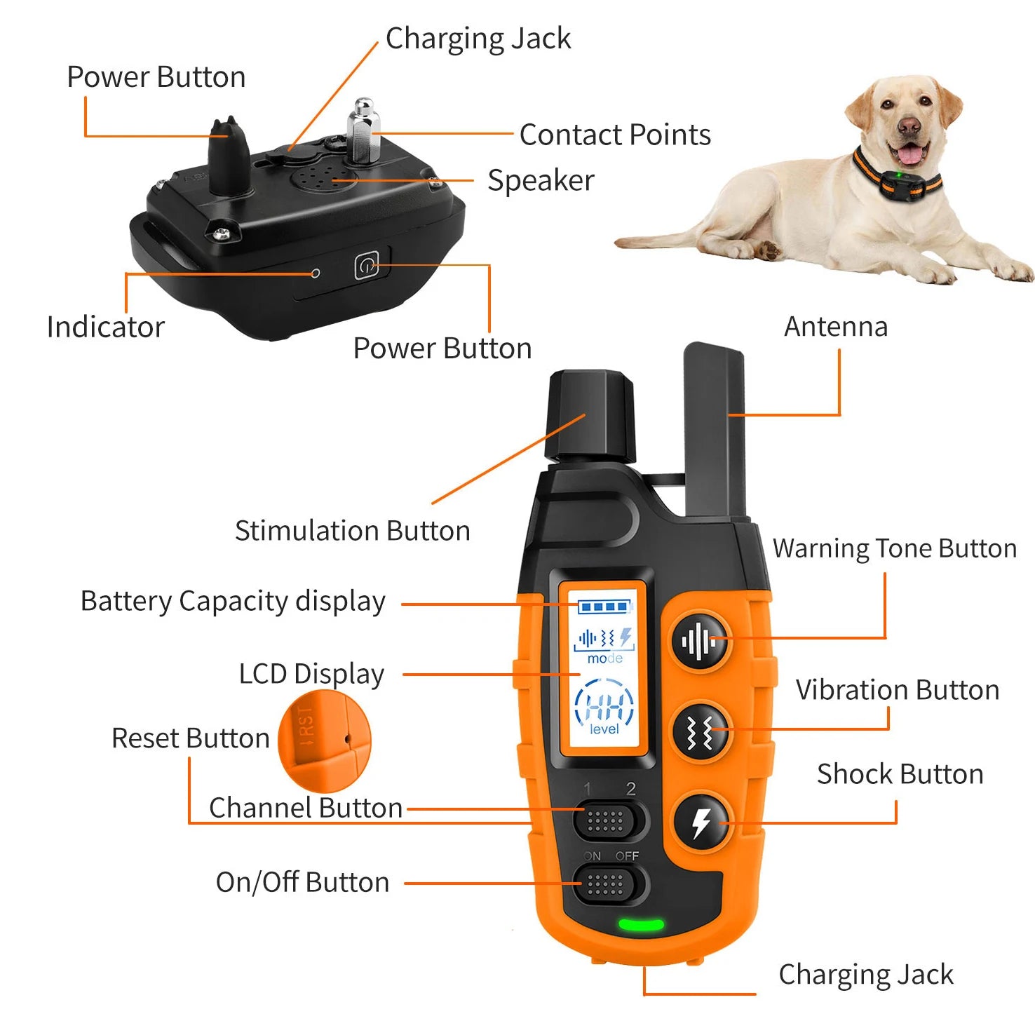 3300Ft Electric Dog Training Collar – Remote & Waterproof