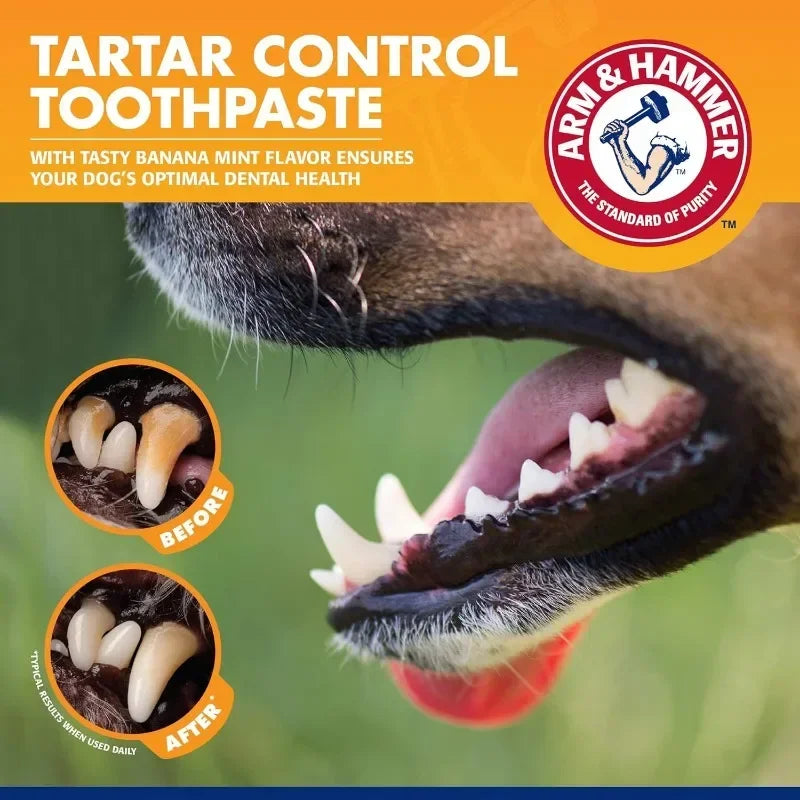 Pet Dental Care Kit – Dog & Cat