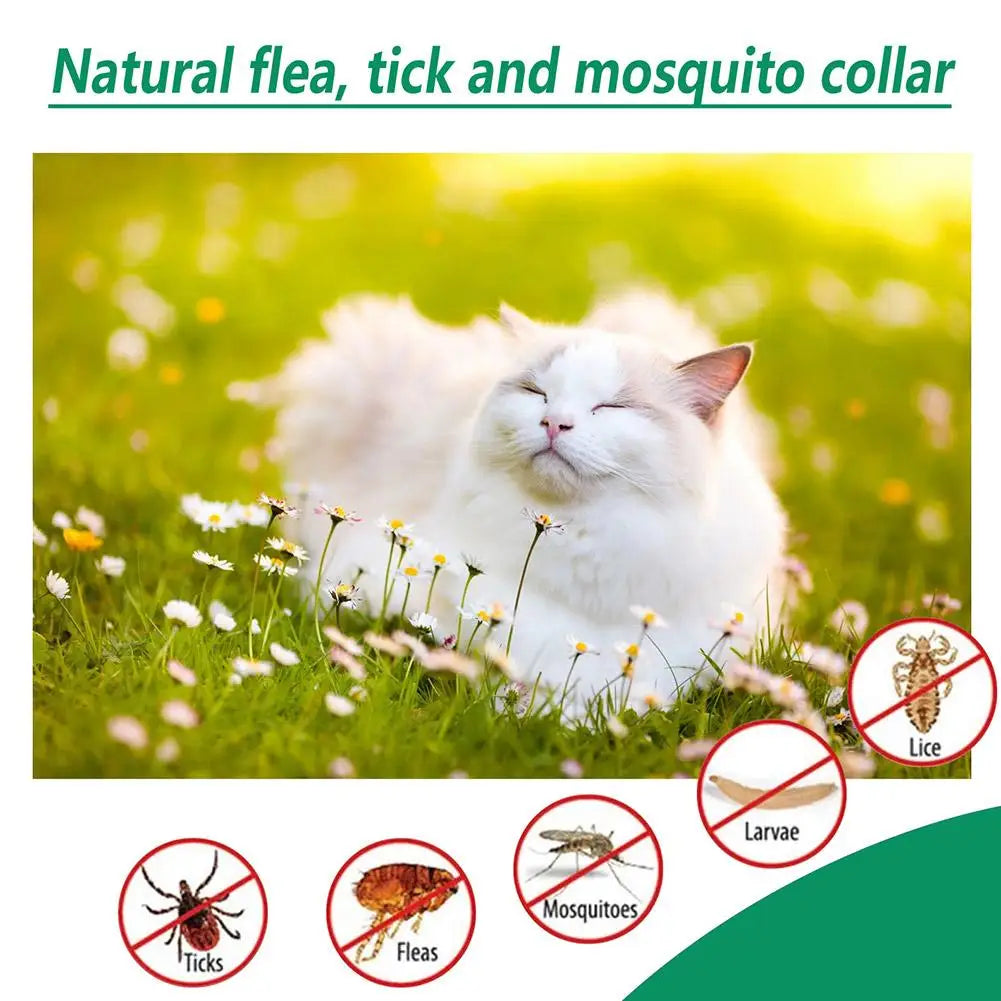 Pet Flea & Tick Killer Drops – 60ml
