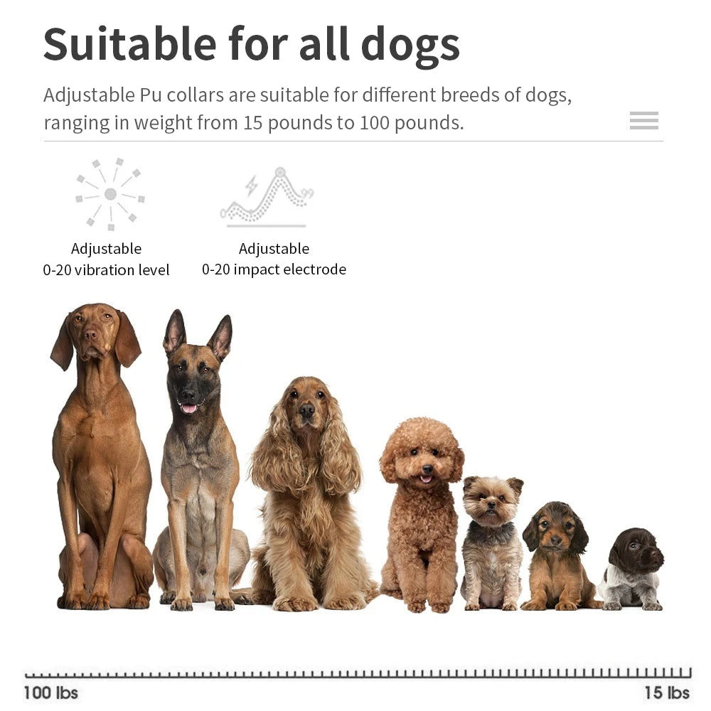 USB Rechargeable Anti-Barking Dog Training Collar