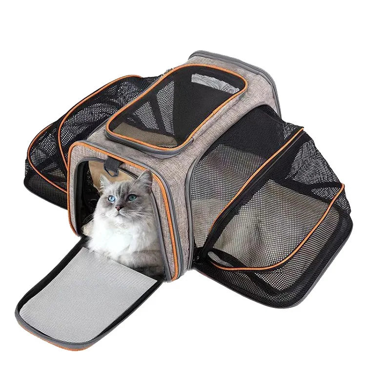 Foldable Pet Carrier Bag – Breathable Mesh Travel Bag