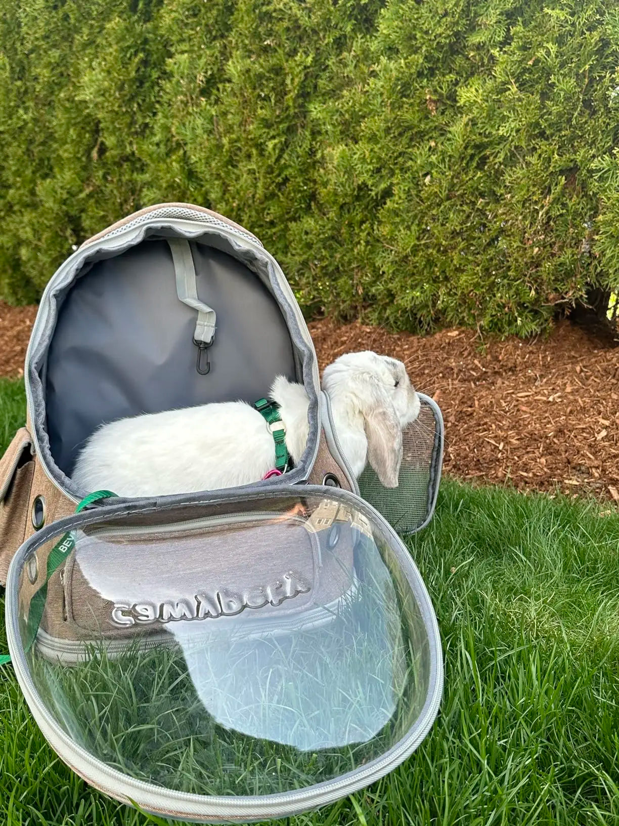 Transparent Folding Pet Carrier Backpack – Portable Travel Bag