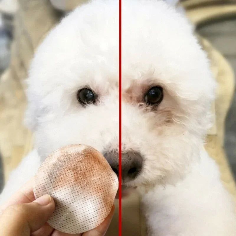 130pcs Pet Eye & Tear Stain Cleaning Wipes