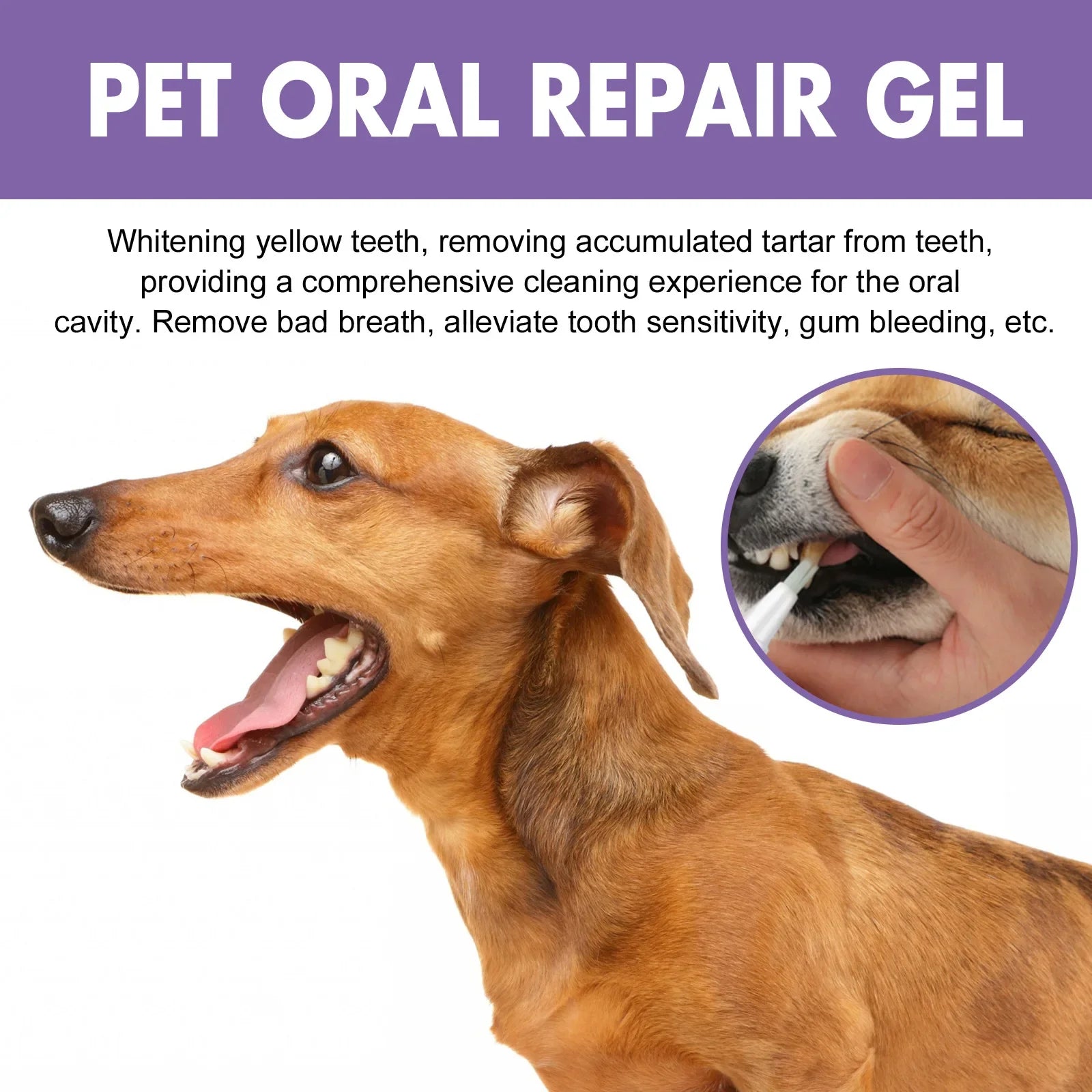 Pet Teeth Cleaning Pen – Oral Care Gel