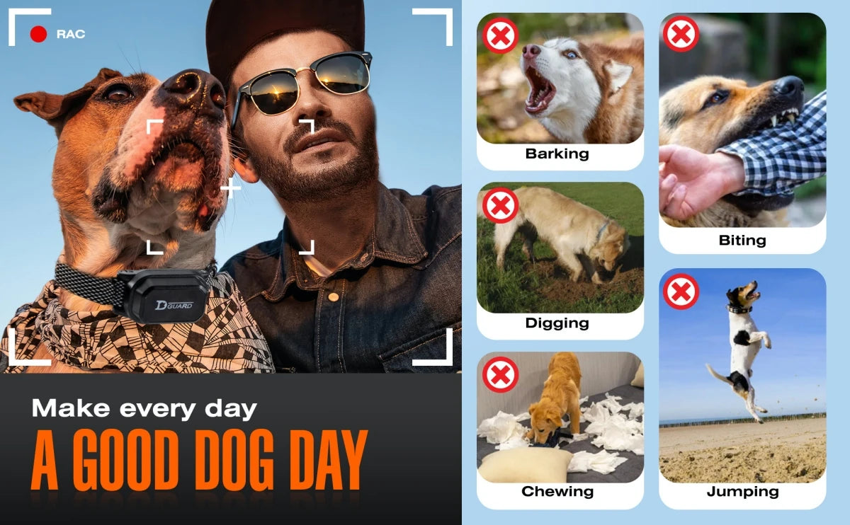 800m Digital Dog Training Collar – Waterproof with LCD