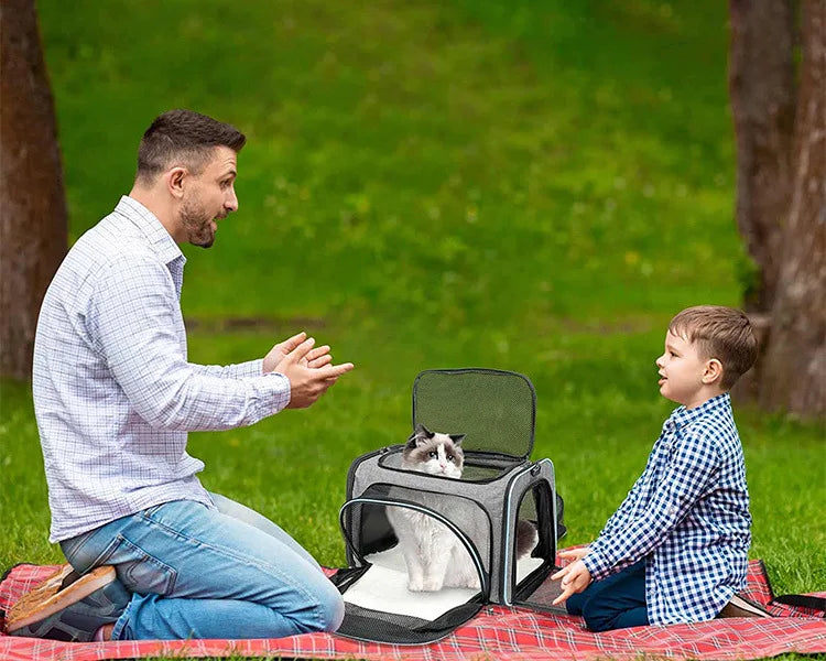 Foldable Pet Carrier Bag – Breathable Mesh Travel Bag