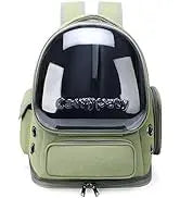 Transparent Folding Pet Carrier Backpack – Portable Travel Bag