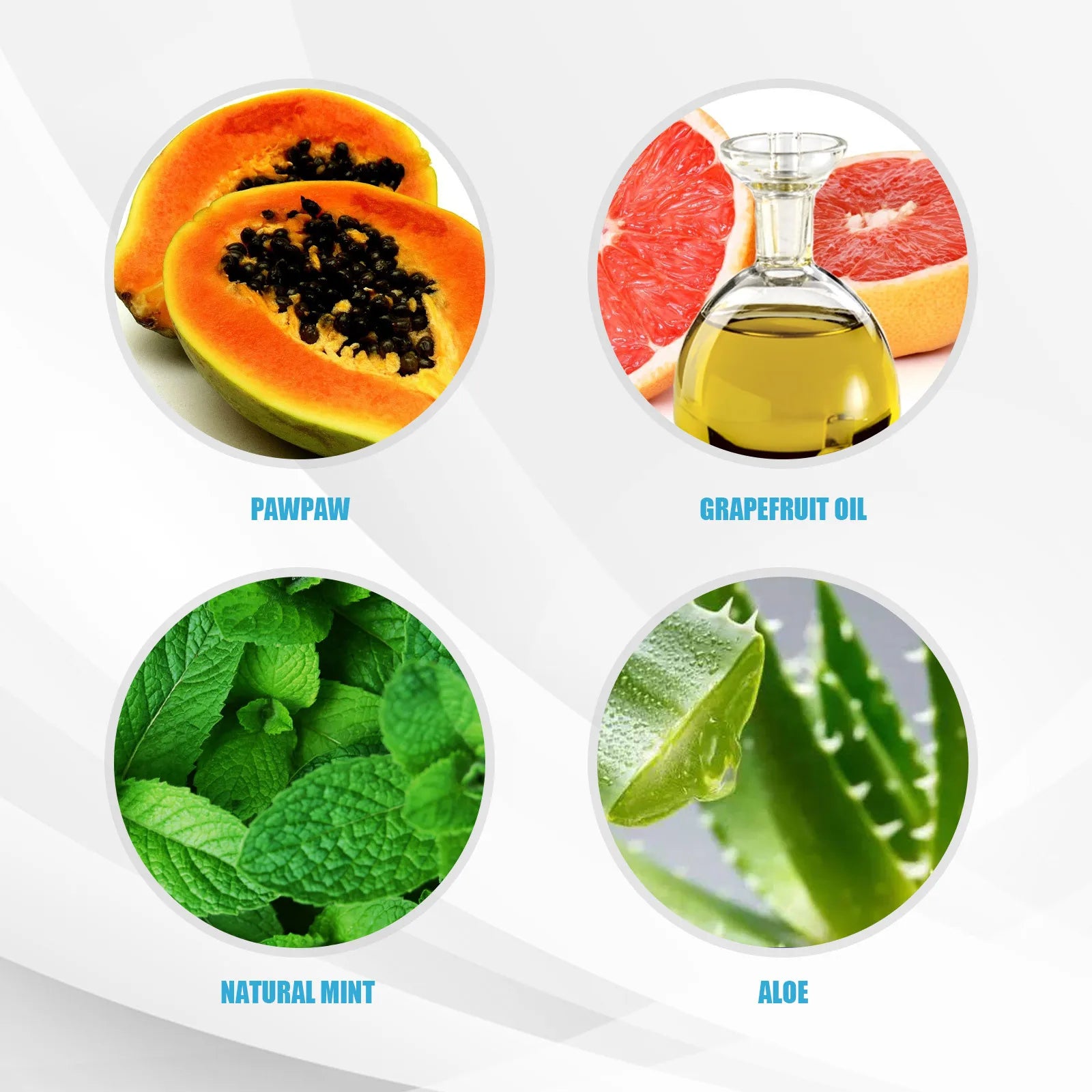 Edible Pet Toothpaste – Cats & Dogs