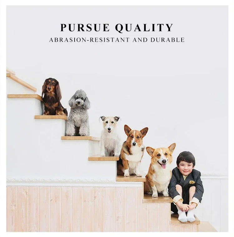 Portable Pet Carrier Bag – Breathable Travel Handbag