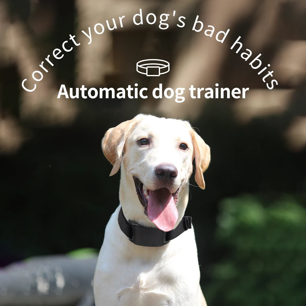 USB Rechargeable Anti-Barking Dog Training Collar
