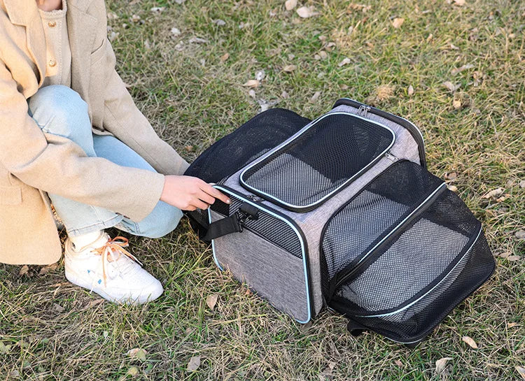 Foldable Pet Carrier Bag – Breathable Mesh Travel Bag