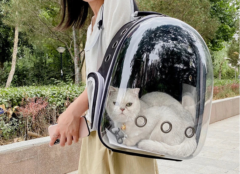Transparent Space Capsule Pet Backpack – Portable Carrier