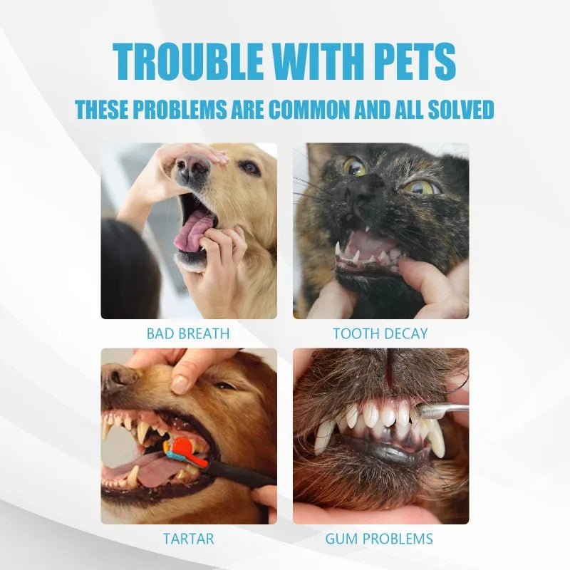 Edible Pet Toothpaste – Cats & Dogs