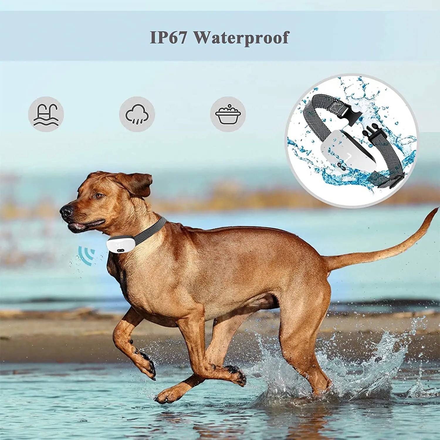 Anti-Bark Dog Training Collar – Electric, Vibration & Sound