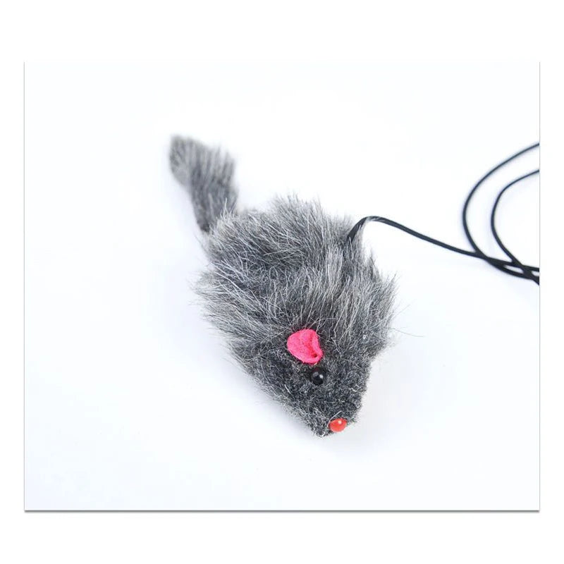 Hanging Door Mouse Cat Teaser Toy – Elastic Clip
