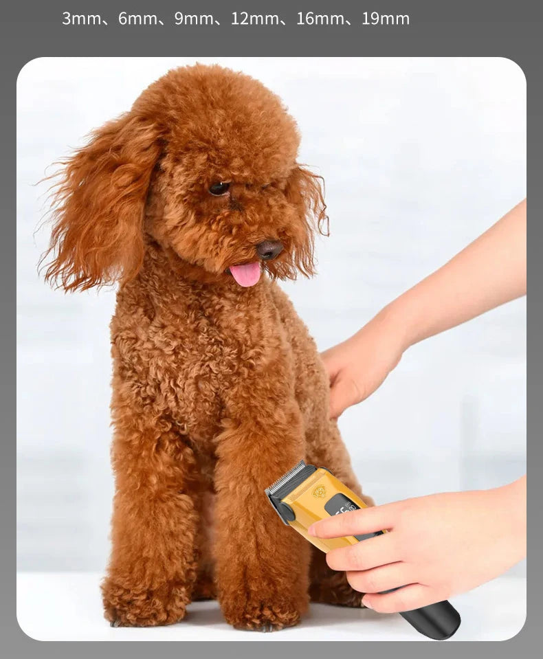 Professional Pet Hair Clipper – Type-C Electric Trimmer