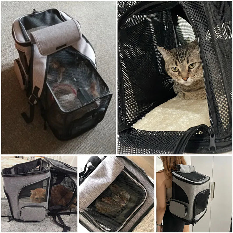 Expandable Foldable Pet Carrier Backpack – Large Capacity
