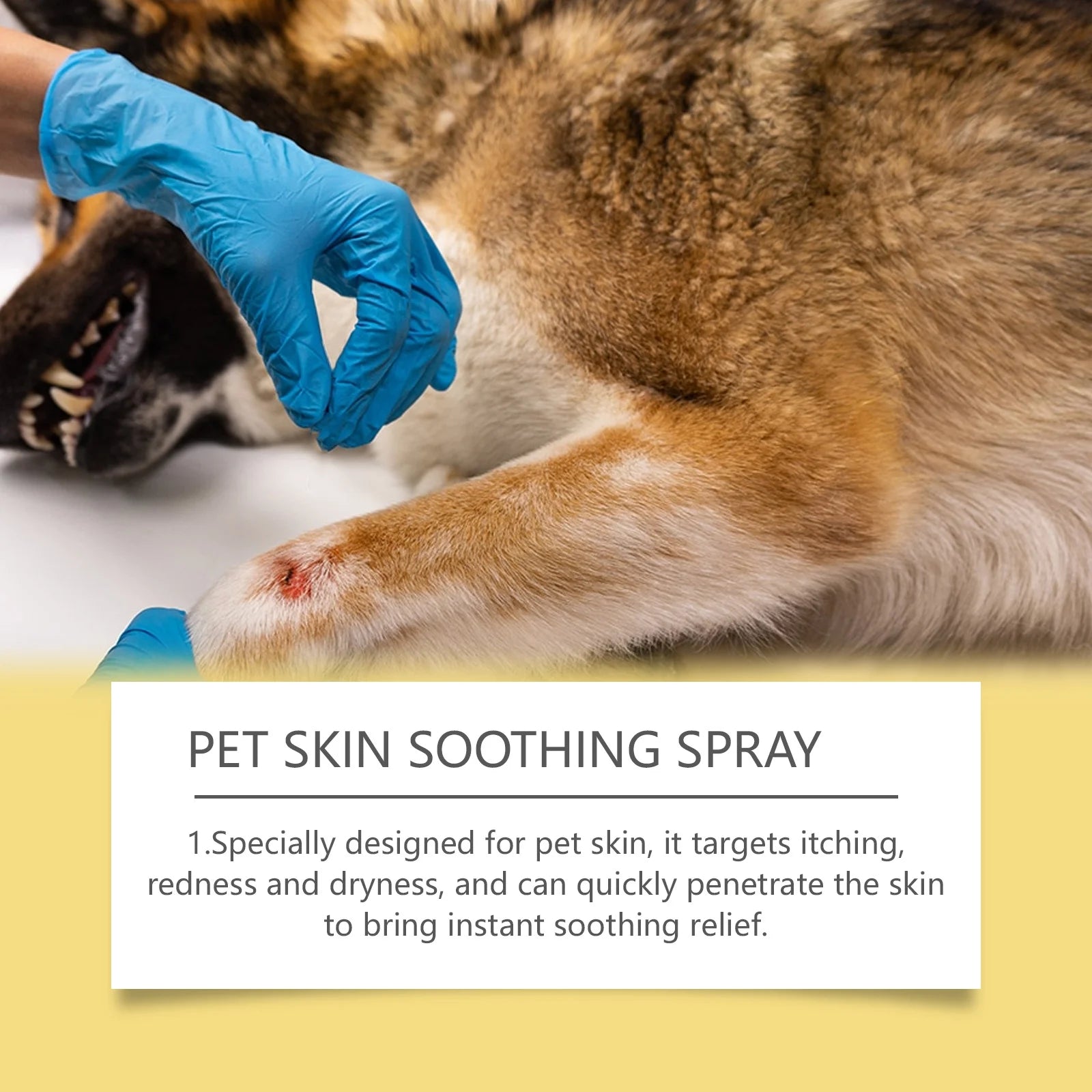 Pet Skin Care & Flea Relief Spray