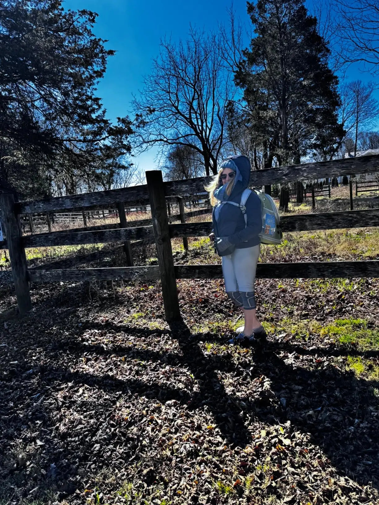 Transparent Folding Pet Carrier Backpack – Portable Travel Bag