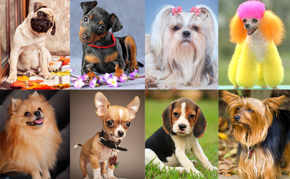 Adjustable Dog & Cat Training Clicker with Wrist Strap